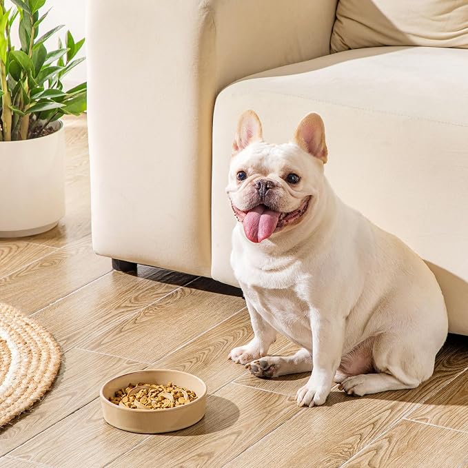 vancasso Ceramic Slow Feeder Dog Bowls, 0.6 Cup Puzzle Dish for Small Breed | Maze Dog Food Bowl for Fast Eaters, Slow Feeding Design for Small Dogs and Cats, Promotes Healthy Eating Habits, Khaki - Image 8