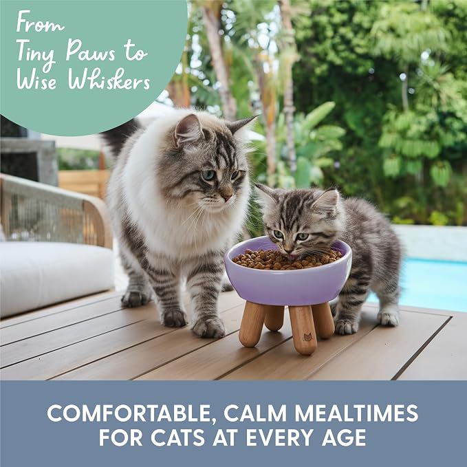 The Cat Ladies Tilted Ceramic Cat Bowl - Elevated Food Bowls Ceramic Pet Bowl - Raised Ceramics Bowls - Elevated & Tilted Design for Comfortable Eating - Dishwasher Safe - Wide Opening - Image 6
