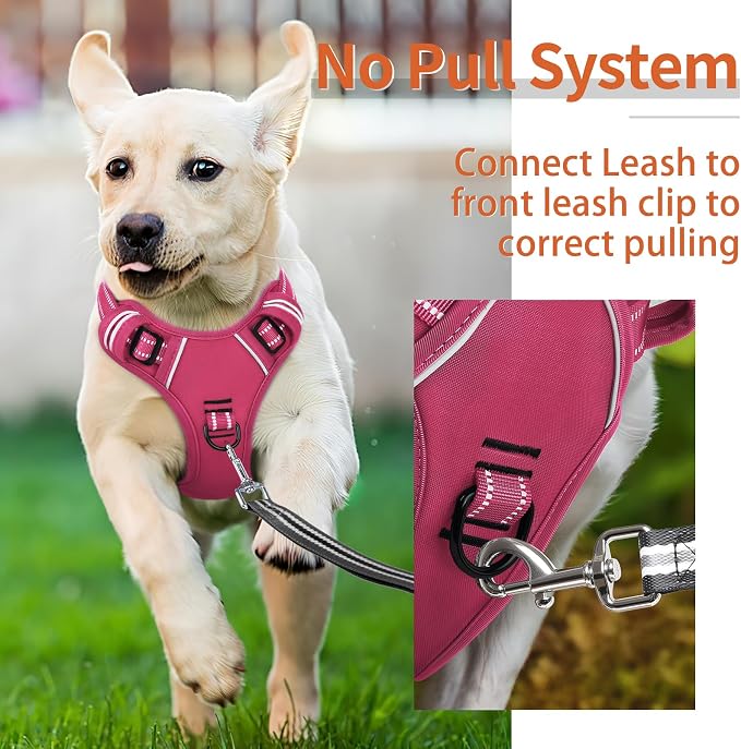 HEELE Dog Harness for Large Dogs No Pull Dog Vest Harness for Large Dog with Soft Padded Handle Reflective for Outdoor Training, Rose(Matching Trim), L | No Choke with Control Handle, Soft Breathable Padded Pet Vest, Adjustable, Reflective Front Clip V... - Image 4