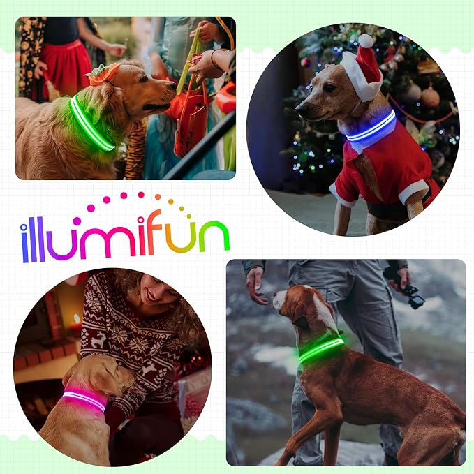 Illumifun Lighted Dog Collars for Night, USB Rechargeable Light Up Dog Collar, Water-Resistant LED Dog Collar Glow in the Dark (Green, Medium) - Image 6