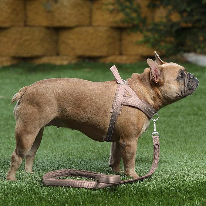 Plutus Pet No Pull Dog Harness for Large Dogs, Breathable Mesh Padded | Adjustable Reflective with Handle, Escape Proof, Quick Fit Pet Vest, Front Clip, for Training and Walking, Beige, XL - Image 5