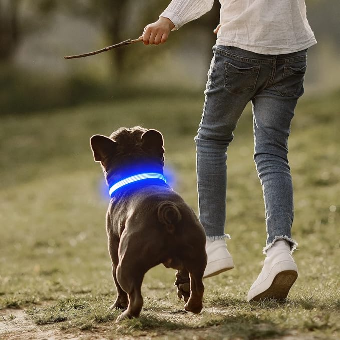 LED Dog Collar, Dog Light Up Collar,for Night Walking (Small, Blue-2) | Full Adjustable,Waterproof,Nylon,Soft,Super Bright Light Collars for Small Medium and Large Dogs,USB C to Charge - Image 7