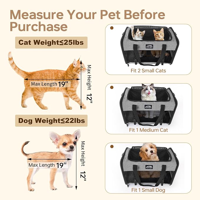 Soft Cat Carrier, Large Foldable Pet Carrier with Four-Sided Breathable Mesh, Safety Leash Included, 20 x 13 x 13 Inches, Travel Bag for Cats & Small Dogs, Grey - Image 6