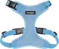 Voyager Step-in Lock Dog Harness - Baby Blue, X-Small | 13 - 16" in Chest, Adjustable, Breathable Air Mesh, Lightweight for Daily Walks, Strong Clips, Heavy Duty D-Ring by BestPetSuppliesLLC
