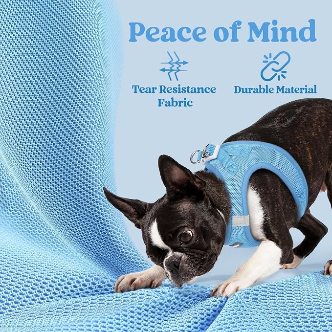 rabbitgoo Step-in Small Dog Harness, Puppy Vest for Small Sized Pet | Easy Put on and off, Lightweight, Soft, Breathable Quick-Dry Air Mesh for Comfortable Secure Walking, Blue XS - Image 7