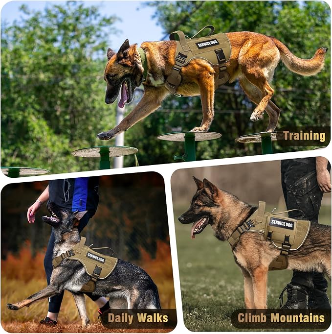 2X Metal Buckle Service Working MOLLE Dog Vest with 10 Pet Patches | Tactical Dog Harness for Medium Dog, No-pull Military Working Vest for Training Hunting Walking，2x D Rings for Leash Clip - Image 9