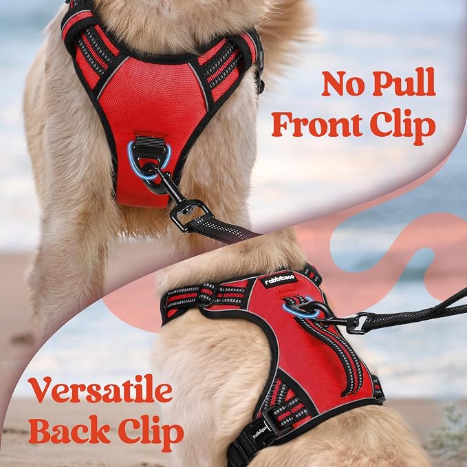 rabbitgoo Large Dog Harness, Easy Wear with 3 Buckles and Lift Handle | No Pull with Front Clip for Walking, Adjustable Soft Padded, Reflective, Easy Control, Red, Small - Image 6