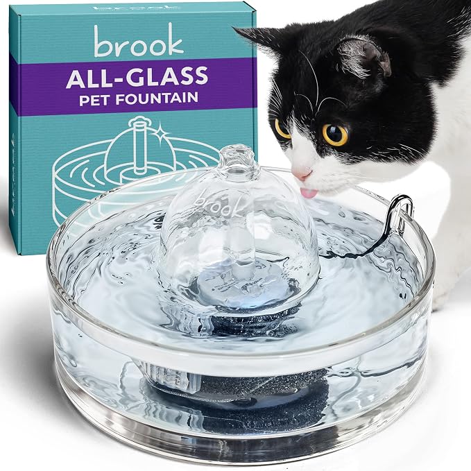 Brook Glass Cat Water Fountain 90oz – Dishwasher Safe Pet & Dog Fountain | Automatic 2.7L drinking water dispenser – quiet, easy to clean glass bowl, filters included – for indoor cats, kittens & dogs by Brook