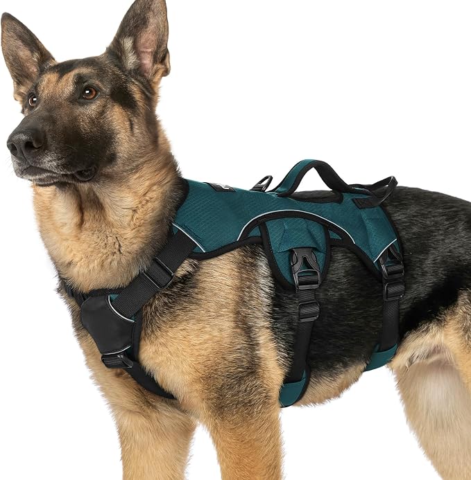 rabbitgoo Escape Proof Dog Harness for X-Large, No Pull with Lift Handle | No Escape, Full Soft Padded, Reflective Adjustable Vest, Leash Clip for Walking Hiking Training, Dark Green, X-Large by rabbitgoo
