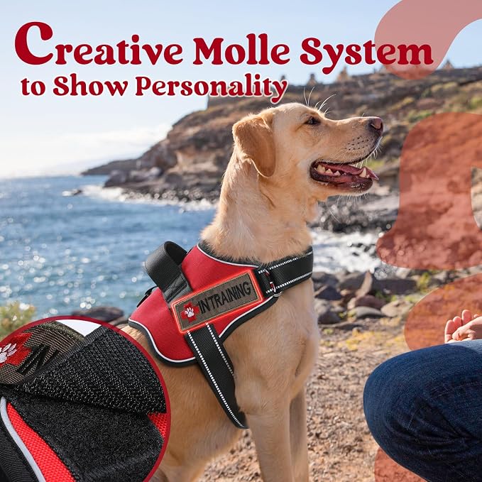 rabbitgoo No Pull No Choke Pet Vest, Adjustable Pet Harness with Molle | Medium Sized Dog Harness, Reflective, Easy Wearing with One Buckle for Walking, Training, Red, M - Image 4