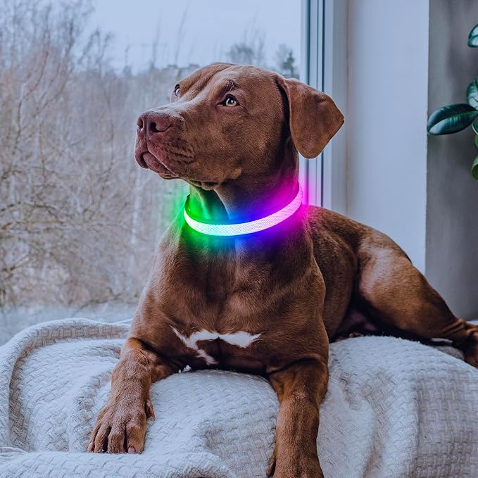 Flashseen Multicolor LED Light Up Dog Collar, RGB 9-Mode, USB Rechargable | Super Bright Lighted Dog Collar, Adjustable Soft Mesh, Glow Collar for Dog Night Walking (White, S) - Image 4