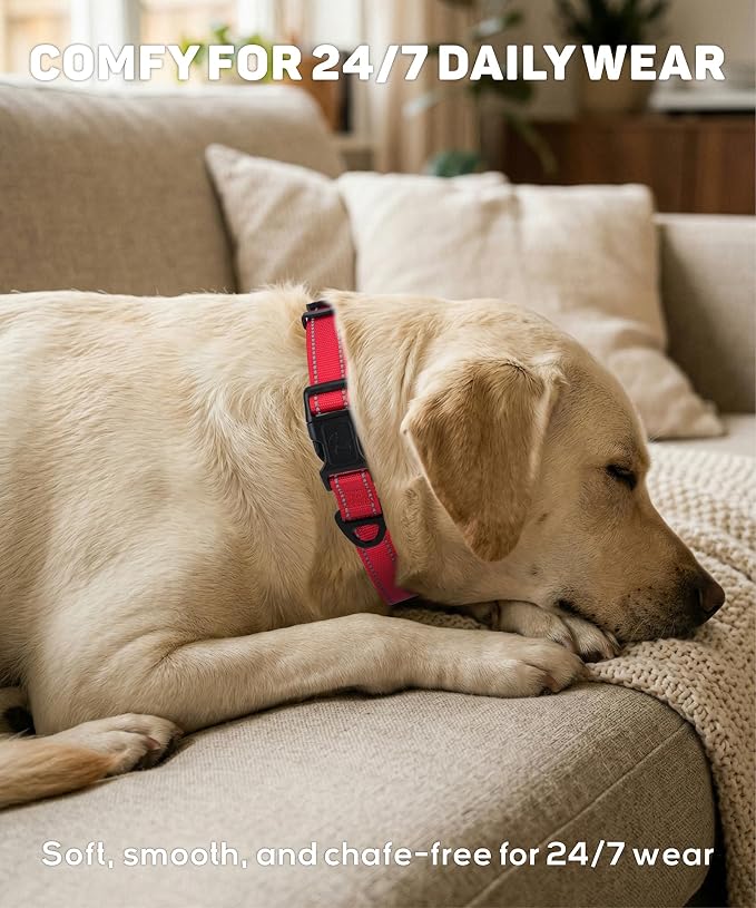TagME Large Dog Collar, Reflective Nylon Collar, Royal Blue, 1.25" Width | Soft Nylon Dog Collar With Reflective Stitching for Night Walks, Adjustable Fit, Quick-Release Buckle for Easy On & Off - Image 4
