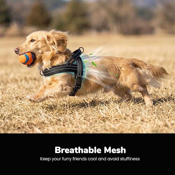 No Pull Dog Harness for Small Dogs, Breathable Mesh Padded, Black, XS | Quick Fit, Easy On and Off, Lightweight, Reflective Vest Harness for Night Safty, Easy for Walking and Training, Chest 15-18" - Image 2