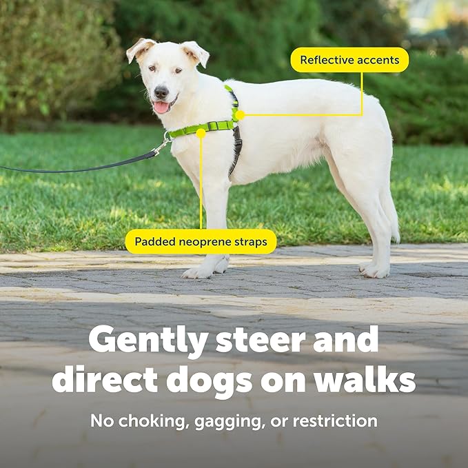 PetSafe Deluxe Easy Walk No Pull Dog Harness, Apple Green, Medium/Large | Padded Neoprene Straps, Reflective Strips for Night Safety, Martingale Loop Curbs Pulling from the Chest, Not the Throat - Image 5