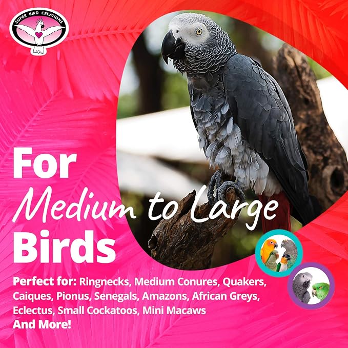 Super Bird Creations SB751 PVC Forager Bird Toy, Medium/Large Bird Size, 3” x 5” x 8” - Image 3