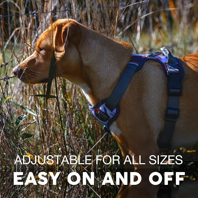 Embark No Pull Dog Harness, Reflective Adjustable Training Vest, No Choke | Adjustable straps fit all dog breeds with sturdy hooks; 360° reflective trim, soft padded Harness Design for All Dogs - Image 4