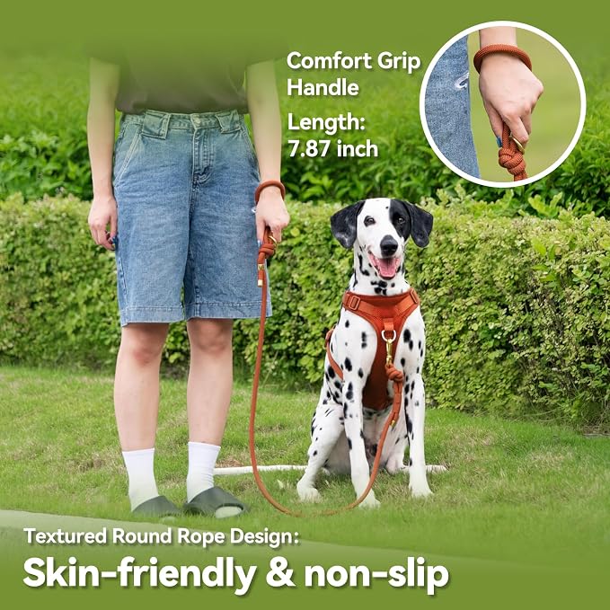 5FT Dog Leash Puppy Cat Rope Lead for Small Medium Large Dogs | Carmel Brown,with Anti-tangle Swivel Clip,Non-slip Grip Handle,Ideal for Daily Walks and Training - Image 5