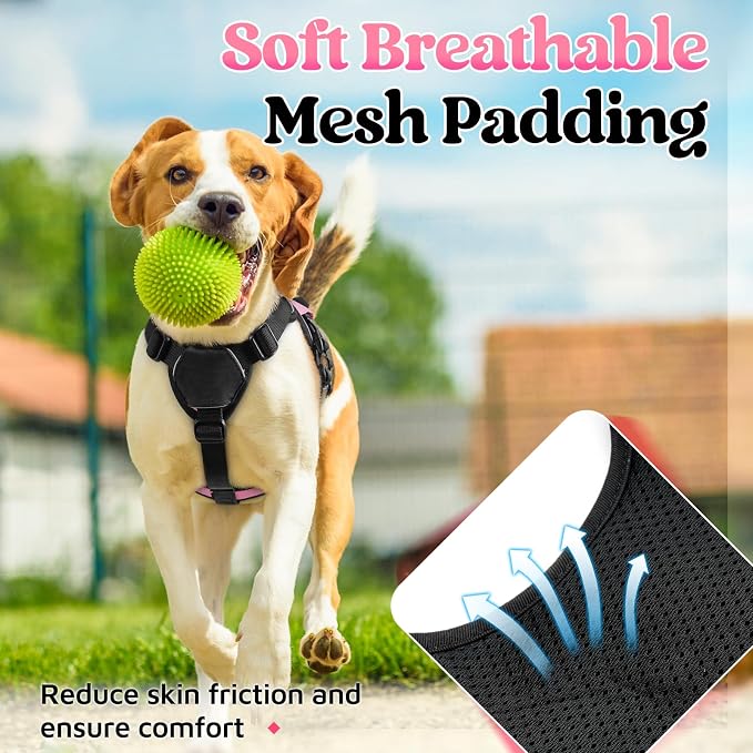 rabbitgoo Escape Proof Dog Harness for Small, No Pull with Lift Handle | No Escape, Full Soft Padded, Reflective Adjustable Vest, Leash Clip for Walking Hiking Training, Pink, Small - Image 7