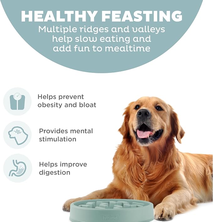 Outward Hound Fun Feeder Slo Bowl Dog Slow Feeder, Notch, Sage, 11.8" | Slows Fast Eaters, Can Aid Digestion, Holds 4 Cups Dry or Wet Food, Non-Slip Base, Easy Clean, No BPA, Medium to Large Dogs - Image 2