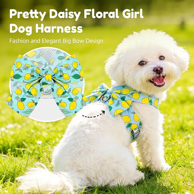 BAEJMJK Dog Harness and Leash Set with Bow Knot No Pull Pet Daisy Floral Harness with D-Ring Soft Mesh Dog Harness Vest Set Escape Proof Princess Puppy Harness for Small Girl Dogs Cats（Green M） - Image 2