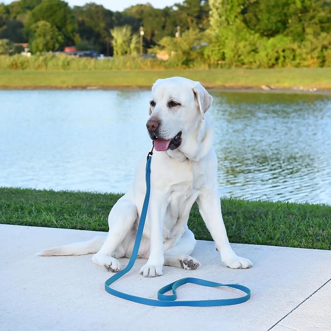 Dogline Biothane Waterproof Dog Leash Strong Coated Nylon Webbing with Black Hardware Odor-Proof Easy to Clean High Performance for Small or Large Dogs Made in USA 4 or 6 ft Lead, Cerulean Blue - Image 5