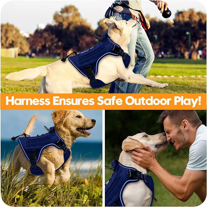 Heavy-Duty Tactical Dog Harness for Large Dogs, No Pull Adjustable Reflective Pet Vest with Molle System, K9 Military-Grade Control for Service Training, Outdoor & 10+ Breeds, Dazzling Blue, XX-Large - Image 6
