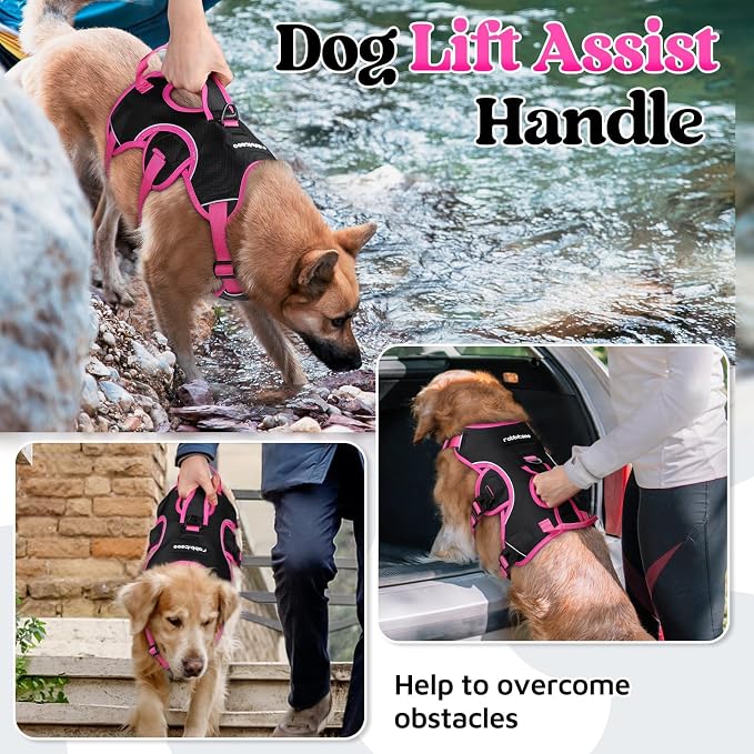 rabbitgoo Escape Proof Dog Harness for X-Large, No Pull with Lift Handle | No Escape, Full Soft Padded, Reflective Adjustable Vest, Leash Clip for Walking Hiking Training, Rose & Black, X-Large - Image 3