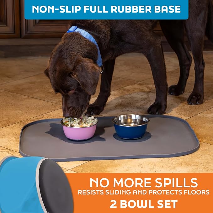 Master Pet Supply Stainless Steel Dog Bowls Set of 2 - True Blue - 16 Oz | Non-Slip Rubber Base, Basic Dog Food Bowl Water & Food Bowls for Small, Medium, Large Dogs & Cats Metal Dish - Image 4