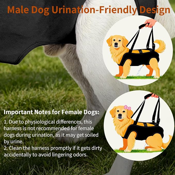 Full Body Dog Lift Harness, Support Senior & Disabled Dogs Walking | Help Up & Down Stairs Grooming, Dog Sling Backpack, Front Hind Leg Joint Injuries, Reflective, Soft Padded Handle | Black, XL - Image 5
