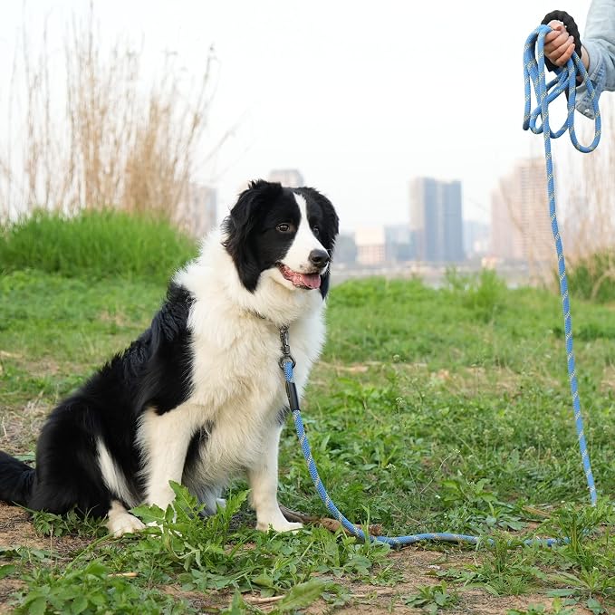 NTR Heavy Duty Dog Leash - 30FT Reflective with Swivel Lockable Hook and Comfortable Padded Handle, Puppy Leash for Walking, Hunting, Camping, Backyard - Blue - Image 7
