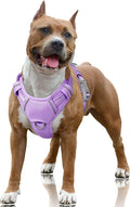 BARKBAY No Pull Dog Harness Large Reflective Dog Harness with Front Clip and Easy Control Handle for Walking Training Running with ID tag Pocket(Violet Purple,L) by BARKBAY