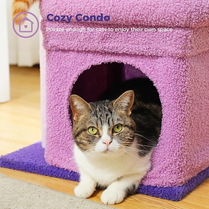PEQULTI Indoor Cat Tree Tower Small Cats, Sisal Post & Cozy Condo, Purple | Private soft cat condo, soft top perch, natural sisal scratch posts, plush pom-pom toy for indoor kitties - Image 7