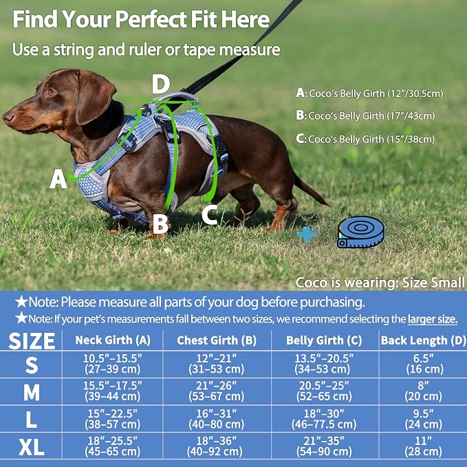 Escape Proof Dog Harness, Dachshund Harness, Reflective Dog Harness with Handle, Durable,Adjustable Vest for Small Medium Large Dogs Walking, Training, and Running Gear (Technicolor Blue,S) - Image 6