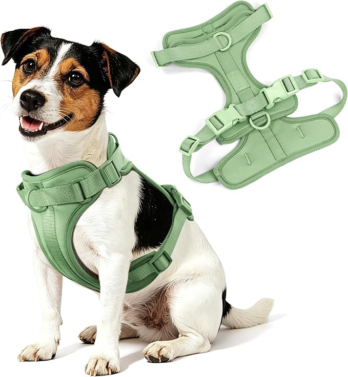 Wisedog No Pull Dog Harness, Sage Green, X-Small | Lightweight, Adjustable Breathable Pet Vest, Soft & Comfortable Cushion, Small Medium Large Dogs - Image 8