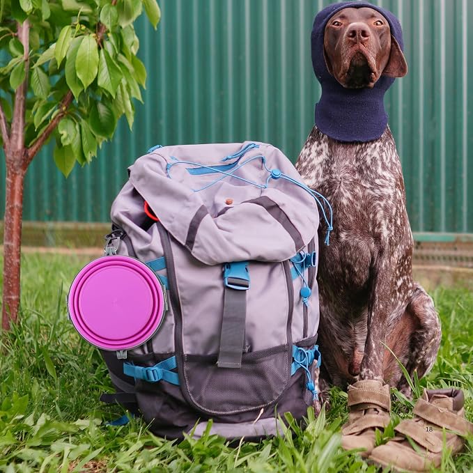 Loving Pets Bella Roma Collapsible Dog Bowls - Silicone Dog Bowls, Foldable Bowl, Puppy Essentials & Hiking Pet Supplies Great for Home & Travel (Pink, Medium) - Image 7