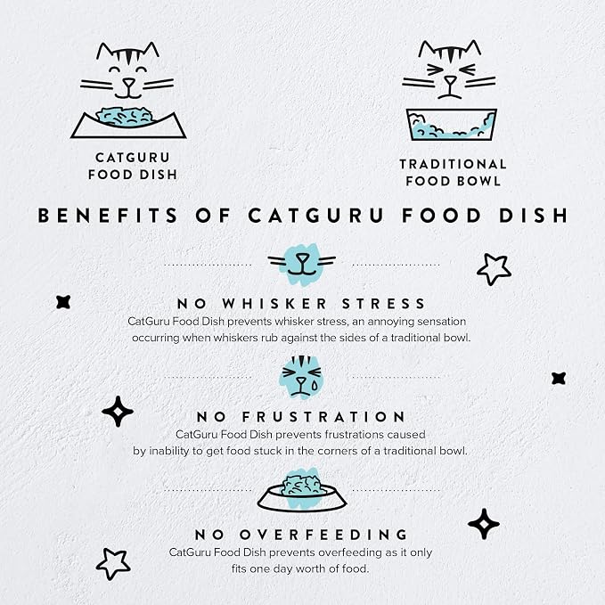 CatGuru Cat Food Bowl, Ceramic Bowls for Indoor Cats, No Spill Cat Feeding Bowl, Whisker Stress Free Kitten Bowls, Non Skin Pet Bowls for Food and Water (Torus - Set of Two, Aruba) - Image 2