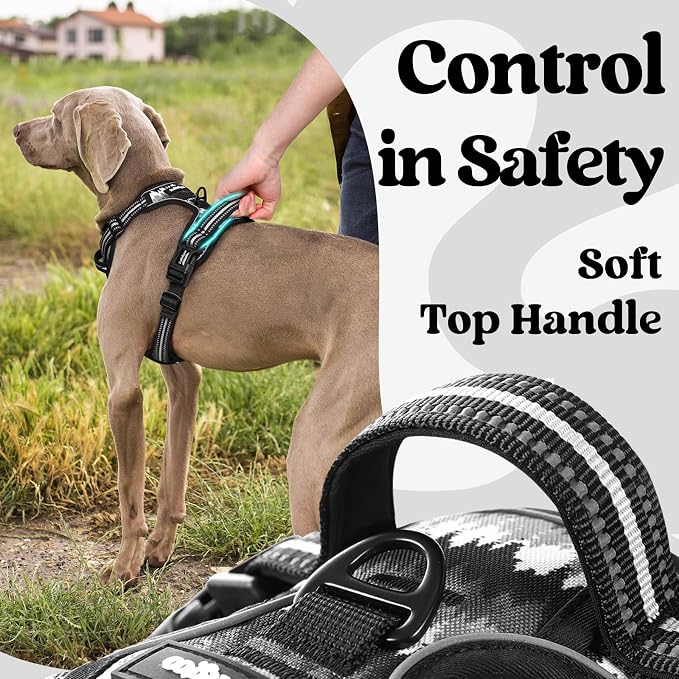 rabbitgoo Dog Harness Small Sized, Updated Easy On & Off with 3 Buckles | No Pull No Choke, Walking with 2 Clips and Handle, Adjustable Soft Reflective, Mountain Black, Small - Image 5