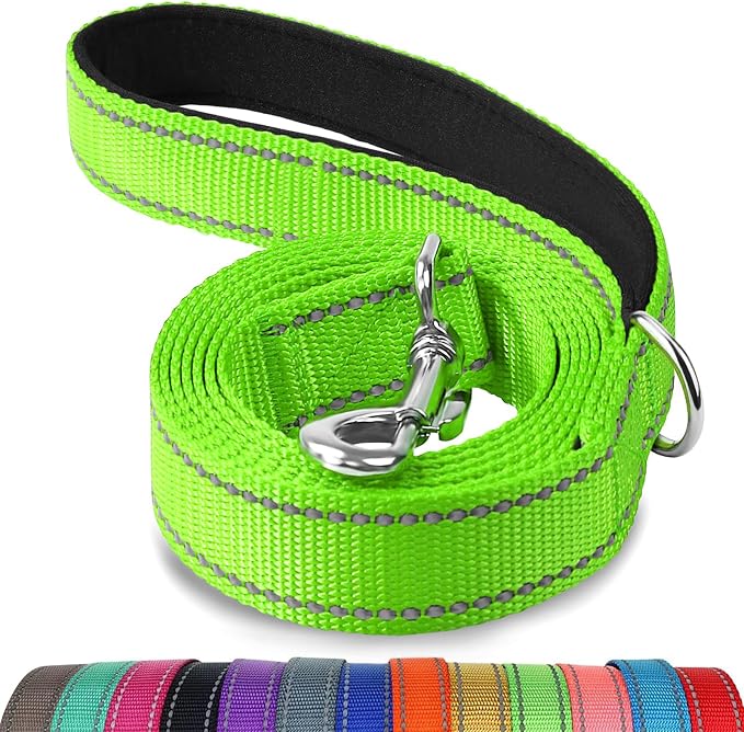 Joytale Reflective Dog Leash for Medium & Large Dogs, 6 FT x 1", Green | Heavy Duty Nylon Webbing, Padded Handle for Comfort, Visible at Night, for Walking & Training by Joytale