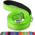 Joytale Reflective Dog Leash for Medium & Large Dogs, 4 FT x 1", Green | Heavy Duty Nylon Webbing, Padded Handle for Comfort, Visible at Night, for Walking & Training by Joytale