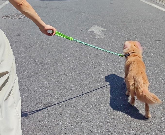 Reflective Dog Leash 2/3/4/6/10ft Braided 1/2" Strong Nylon Rope | 3FT Dog Leash for Large Medium Small Dogs Walking Training Leads- Green - Image 6