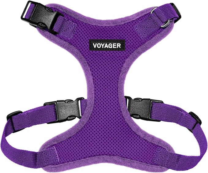 Voyager Step-in Lock Dog Harness - Purple, X-Small | 13 - 16" in Chest, Adjustable, Breathable Air Mesh, Lightweight for Daily Walks, Strong Clips, Heavy Duty D-Ring by BestPetSuppliesLLC