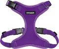 Voyager Step-in Lock Dog Harness - Purple, X-Small | 13 - 16" in Chest, Adjustable, Breathable Air Mesh, Lightweight for Daily Walks, Strong Clips, Heavy Duty D-Ring by BestPetSuppliesLLC