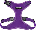 Voyager Step-in Lock Dog Harness - Purple, Large | 20 - 25" in Chest, Adjustable, Breathable Air Mesh, Lightweight for Daily Walks, Strong Clips, Heavy Duty D-Ring by BestPetSuppliesLLC