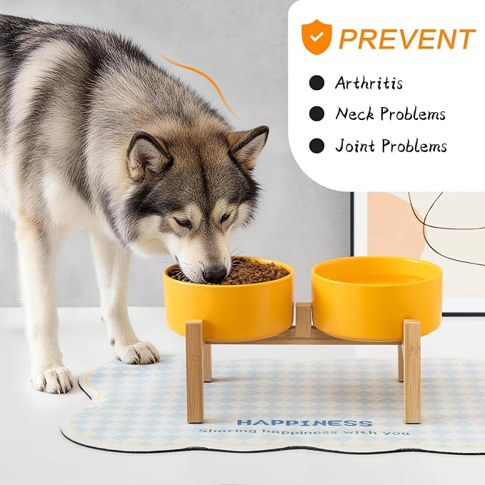 Elevated Ceramic Dog Bowl Set - Raised Dog Bowls with Non Slip Bamboo Stand, Food and Water Bowl Set for Kitty, Cats and Toy Breed Dogs, Pet Bowls, Dogs Dishes (5.1'', 2 * 16OZ, Yellow) - Image 6