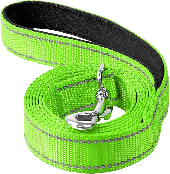 6FT Reflective Dog Leash, Padded Handle for Small Medium Dogs | Comfortable Nylon, Soft Handle Cushioning, Reflective Safety at Night, Walking Leash for Park & Hiking (3/4in, Green) by Erbine
