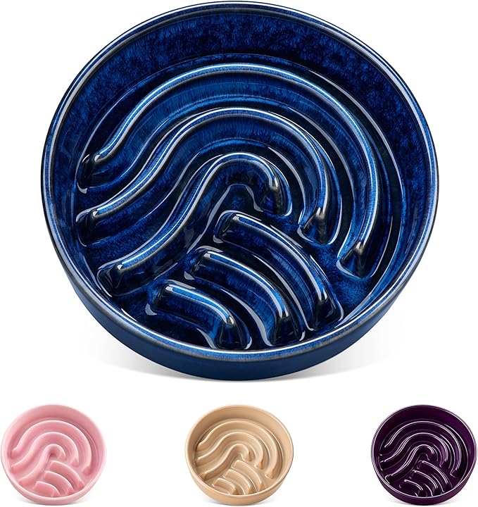 vancasso Slow Feeder Dog Bowl, 0.6 Cup Ceramic Slow Feeding Food Dish for Small Breed, Puzzle Dog Food Bowl for Fast Eater, Blue by vancasso