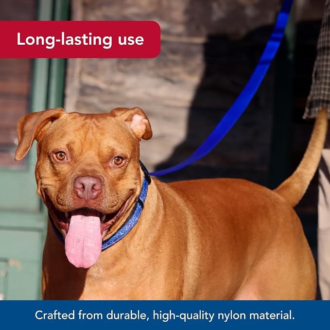 Coastal Pet Single-Ply Dog Leash - Sturdy Pet Leash - Comfortable & Stylish - Resists Fraying - Vibrant & Fade-Resistant Color - Teal, 3/8" x 6' - Image 3
