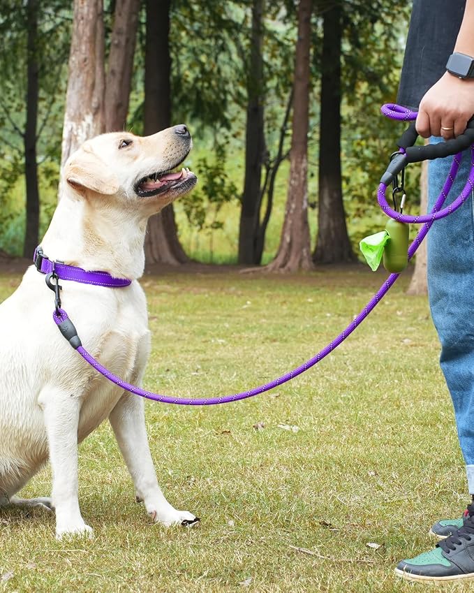 Dynmeow Reflective Dog Collar and Leash Set for Medium Dogs, Purple | Soft Neoprene Padded, 6FT Climbing Rope, Ideal for Daily Outdoor Walking or Indoor Wearing, Night Visible for Safety - Image 4