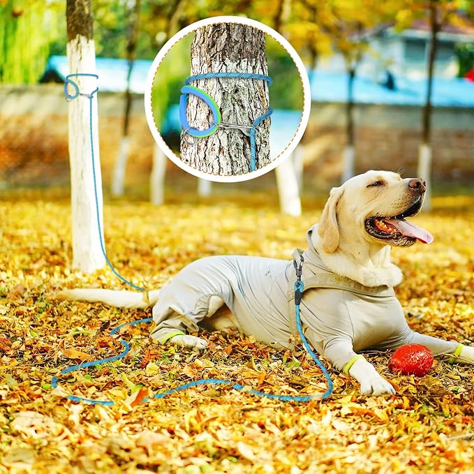 Long Dog Leash for Dog Training 10FT/15FT/20FT/30FT/40FT/50FT/100FT Reflective Leash with 2 Hooks, Heavy Duty Dog Lead for Large Medium Small Dogs Outside Walking Camping Yard, Blue 15FT - Image 5
