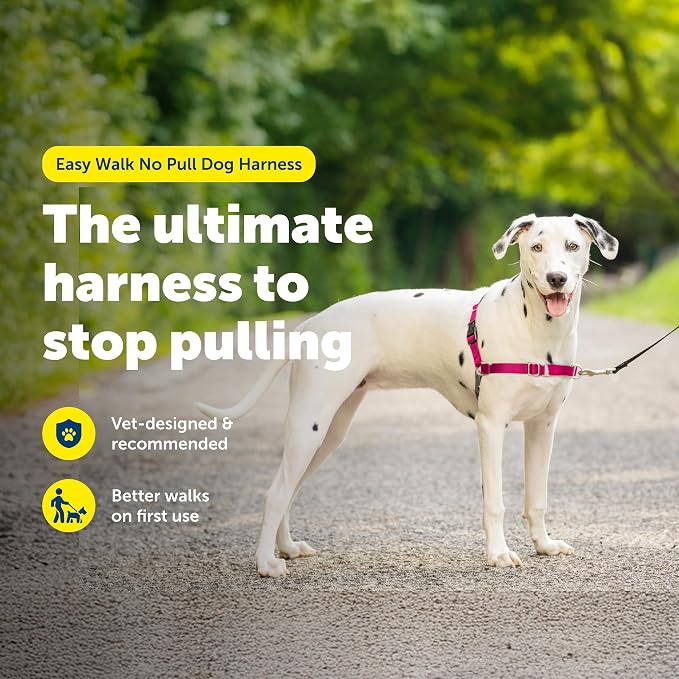 PetSafe Easy Walk Harness, No Pull Dog Harness, Raspberry, Medium/Large | Patented Martingale Loop Gives Gradual Shoulder Pressure to Stop Pulling, Front-Chest Leash Clip Prevents Gagging - Image 2